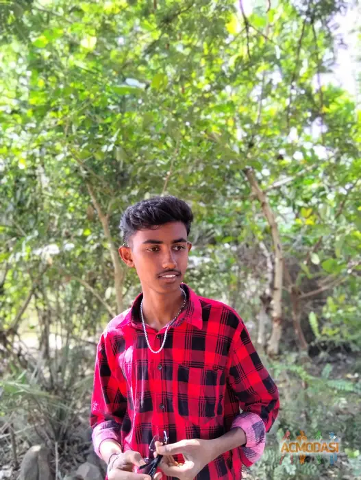 Hari teja  Bingi photo №126773. Uploaded 03 February 2026