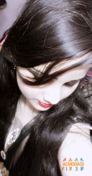 Jasmine   photo №28048. Uploaded 08 November 2015