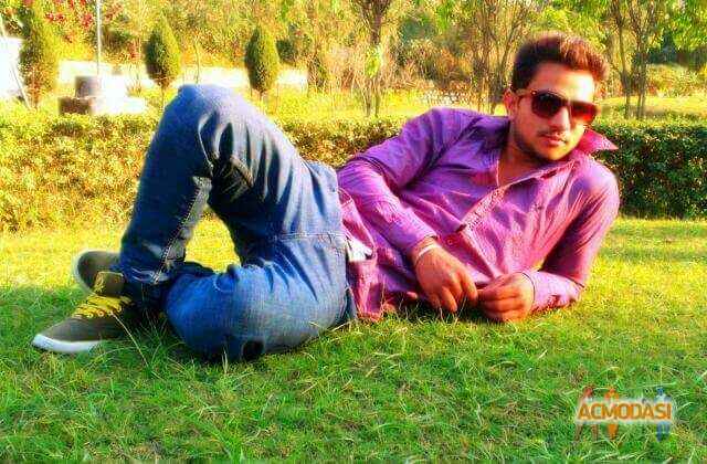 Anil   photo №48143. Uploaded 26 February 2016