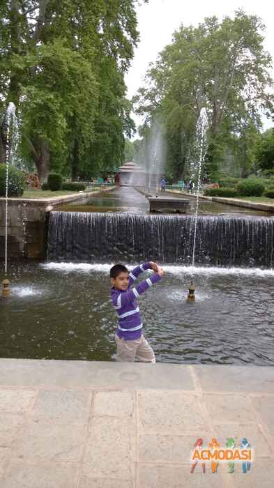 Shaurya   photo №12270. Uploaded 27 July 2015