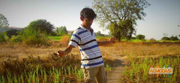 Abhishek Anil pawar photo №96616. Uploaded 22 February 2017