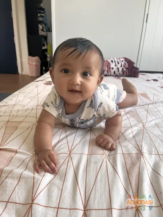 Amber  Virk photo №126600. Uploaded 20 January 2026