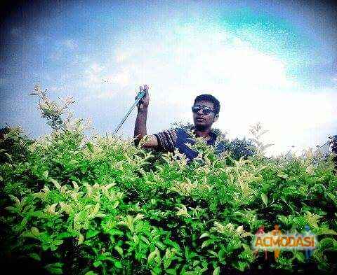 Danish  Saiyed photo №28358. Uploaded 11 November 2015