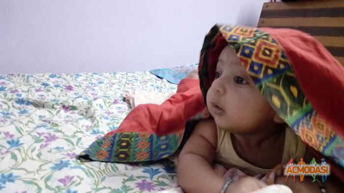 Advik   photo №33061. Uploaded 07 December 2015