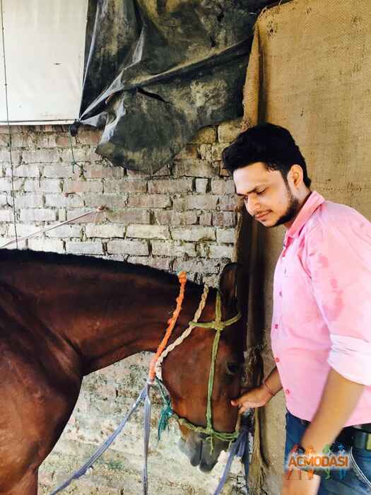 Shahkar  Rizvi photo №119091. Uploaded 12 February 2019