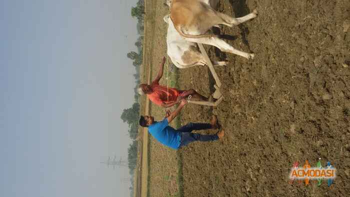 Pankaj  singh photo №33182. Uploaded 07 December 2015