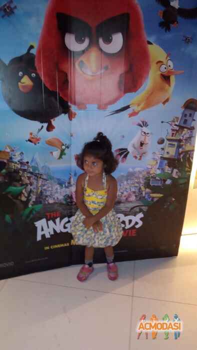 Hatvi Dhaval Modu photo №66860. Uploaded 16 July 2016