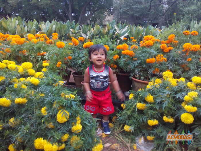 Maanvitha . R   photo №84249. Uploaded 17 November 2016