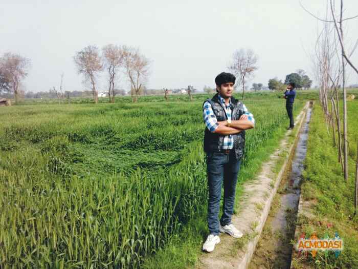 Surya  Pandey photo №93209. Uploaded 25 January 2017