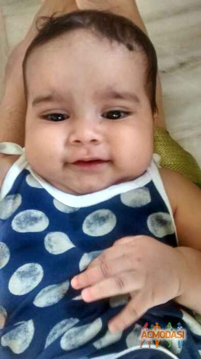 Mihir Jain Bhupendra photo №45492. Uploaded 10 February 2016