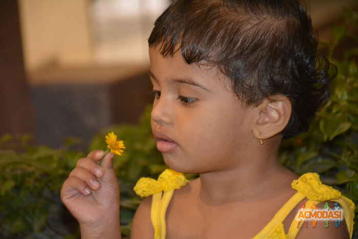 Mruna   photo №10559. Uploaded 16 July 2015