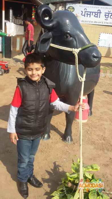 Vaibhav  Gaba photo №47092. Uploaded 19 February 2016