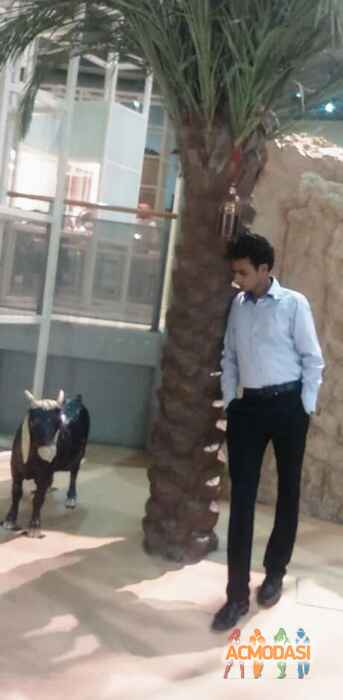 Danish   photo №52714. Uploaded 02 April 2016