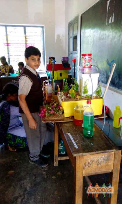 Hamdi   photo №35810. Uploaded 23 December 2015