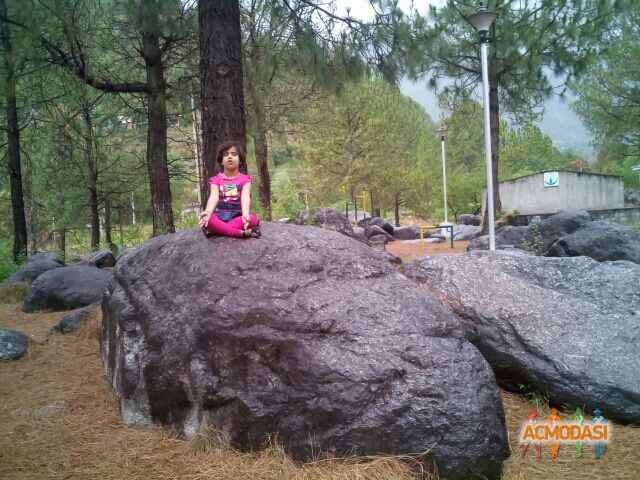 Ananya  Singh photo №55266. Uploaded 20 April 2016