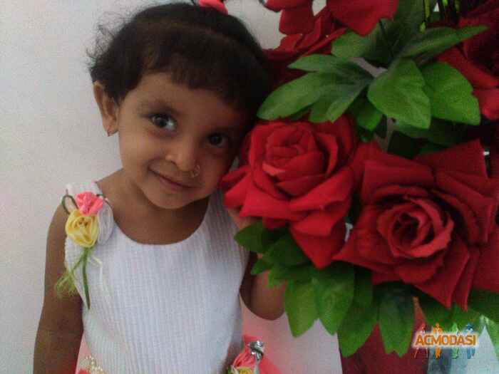 Nidhi Rajeshbhai Choksi photo №60638. Uploaded 27 May 2016
