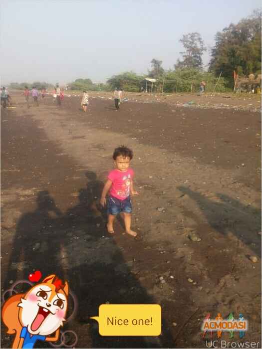 Pragati   photo №30178. Uploaded 21 November 2015