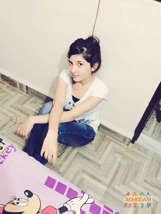 Goldy  Mand photo №24920. Uploaded 17 October 2015