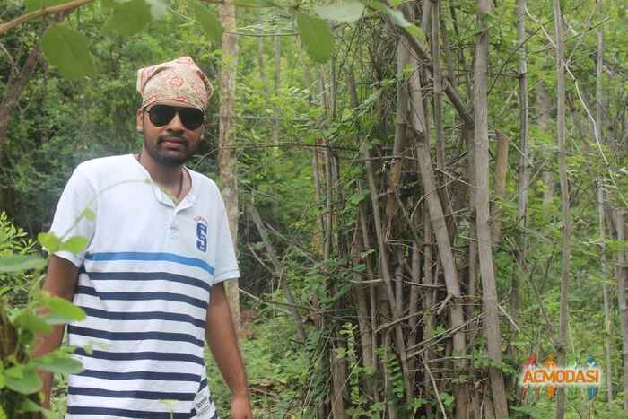 shiva  kotra photo №59962. Uploaded 24 May 2016