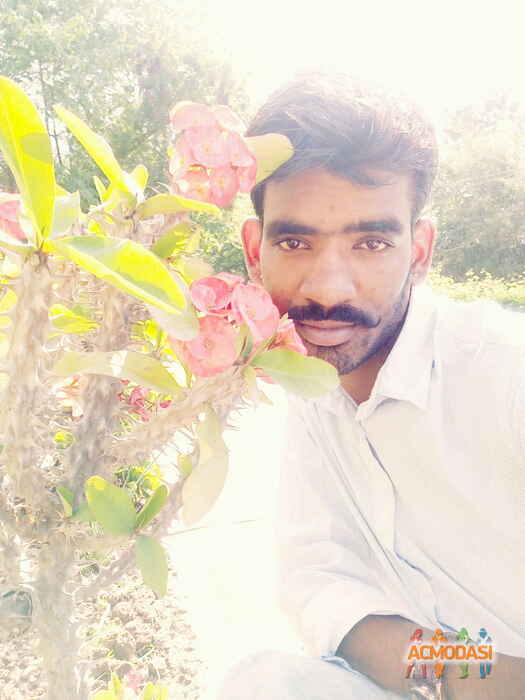 yogesh  jangid photo №100925. Uploaded 15 April 2017