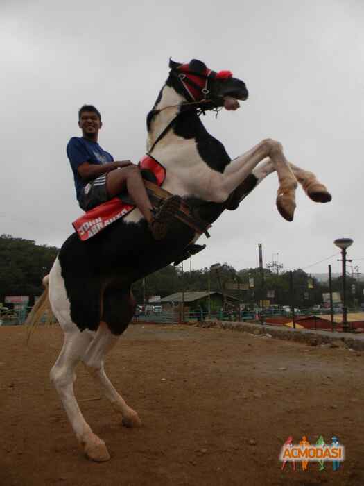 Nishad  Shelar photo №88091. Uploaded 18 December 2016