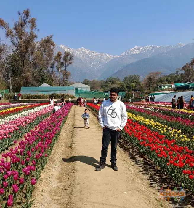 Yogesh  Kashyap photo №126365. Uploaded 25 December 2025