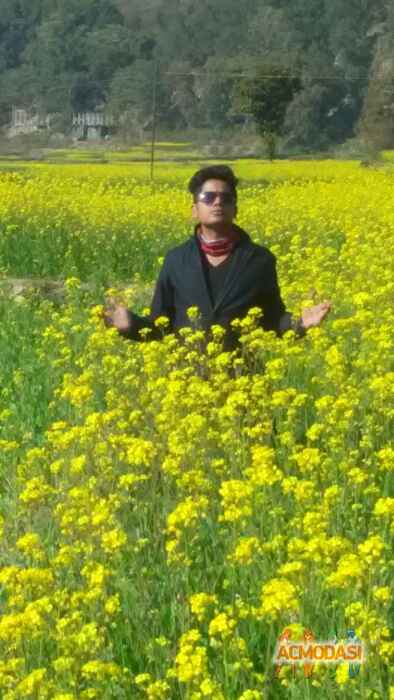 Mohit  Khandelwal photo №45830. Uploaded 12 February 2016