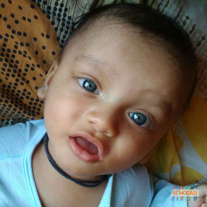 Daiwik   photo №40209. Uploaded 12 January 2016