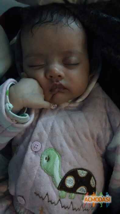 pari   photo №16337. Uploaded 21 August 2015