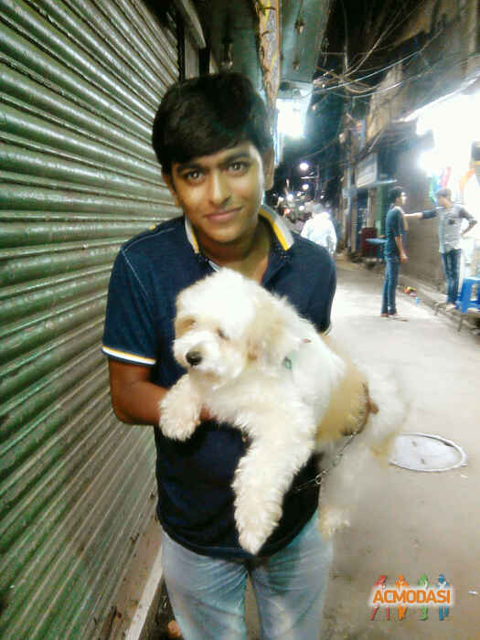 Anshu  saharia photo №31766. Uploaded 28 November 2015