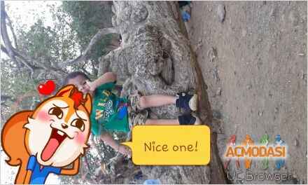 Ashtar  rizvi photo №3495. Uploaded 26 May 2015