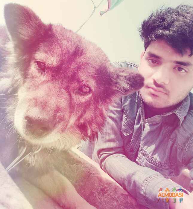 Prashant  Kumar photo №104958. Uploaded 25 May 2017