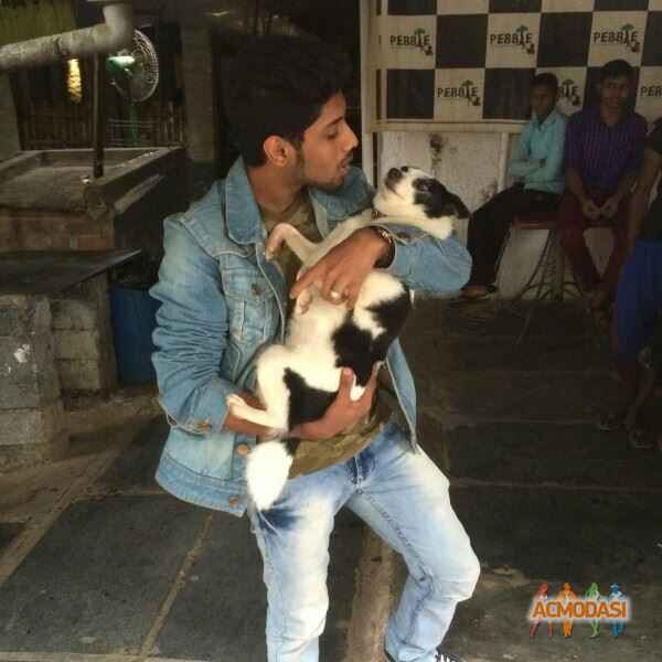 Anirudh   photo №37296. Uploaded 01 January 2016