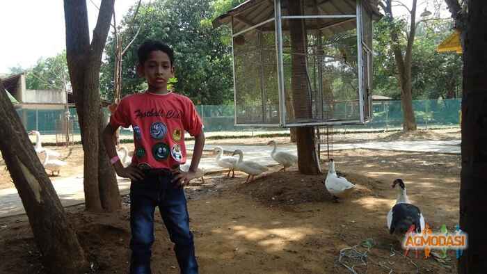 Danush  Saiganeshbabu photo №71925. Uploaded 20 August 2016