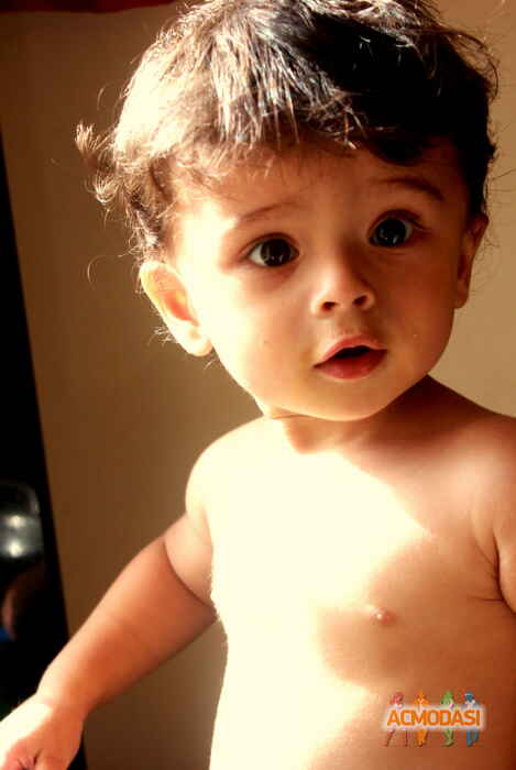 Lucius   photo №15225. Uploaded 14 August 2015