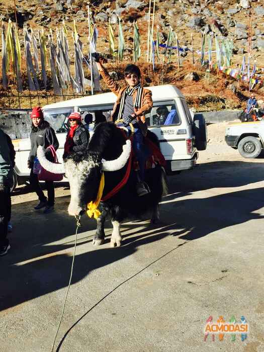 Rohit  Biswas photo №36978. Uploaded 29 December 2015