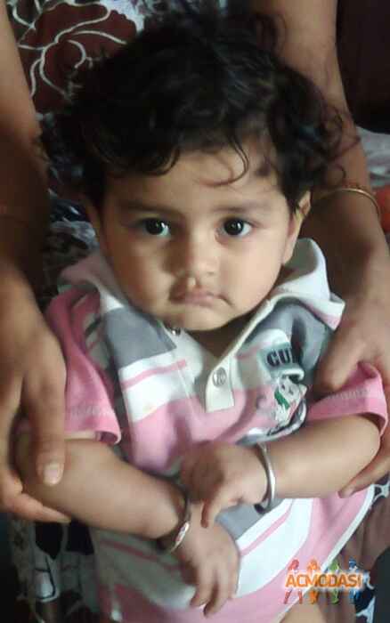 Jitendra   photo №37725. Uploaded 03 January 2016