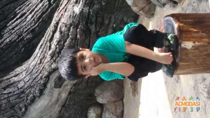 Lavith  Chaturvedi photo №19561. Uploaded 09 September 2015