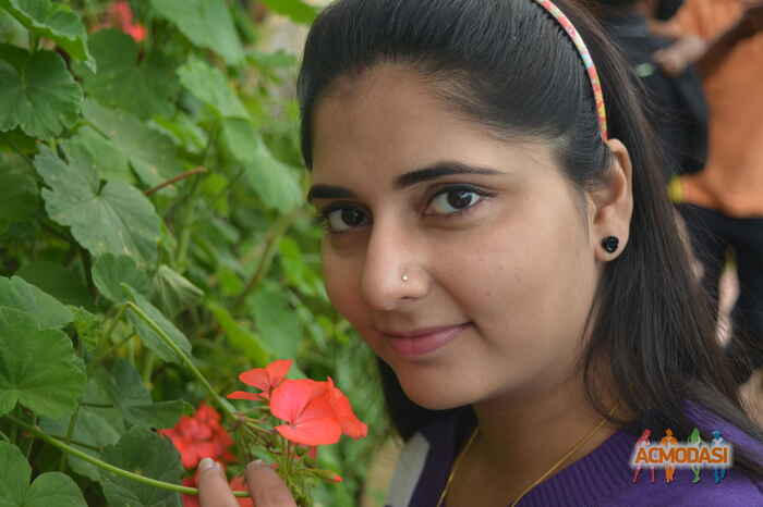 Neha  Singh photo №24754. Uploaded 16 October 2015