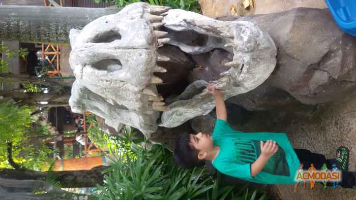 Lavith  Chaturvedi photo №19560. Uploaded 09 September 2015