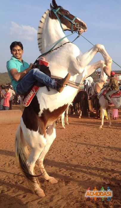 Bhargav   photo №5057. Uploaded 09 June 2015