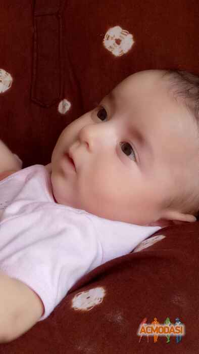 Anita Nikunj Vador photo №95672. Uploaded 12 February 2017