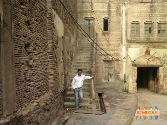 Rohit   photo №22388. Uploaded 27 September 2015