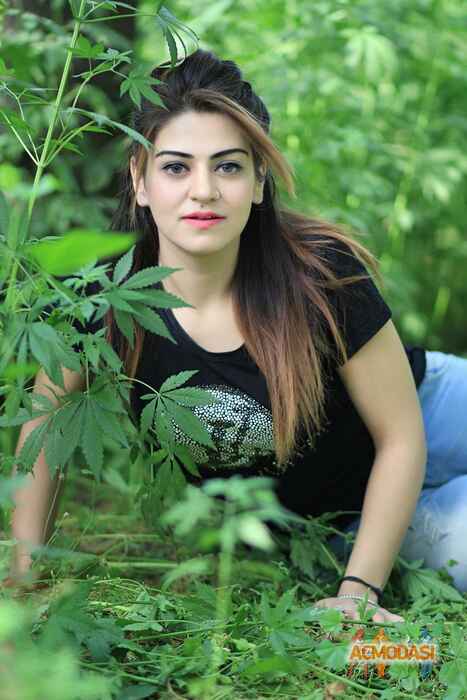 Allisha  Kashyap photo №100474. Uploaded 10 April 2017