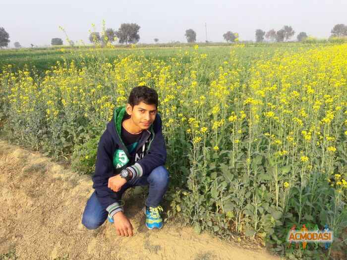 Shivam  Saxena photo №91776. Uploaded 15 January 2017