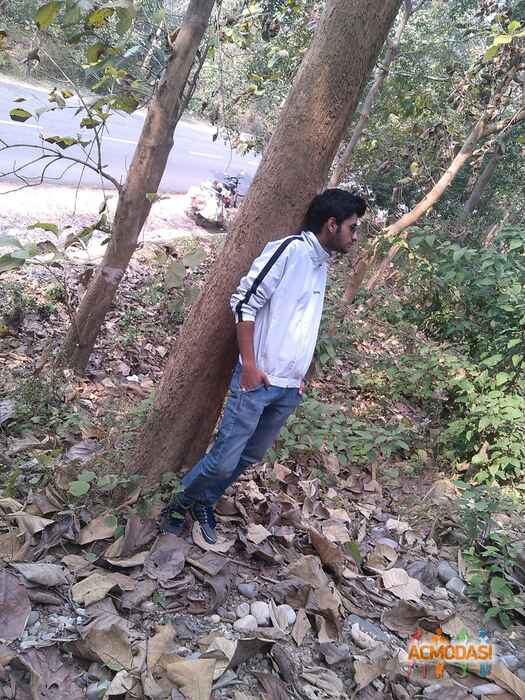 Shaurya  Singh photo №23574. Uploaded 06 October 2015