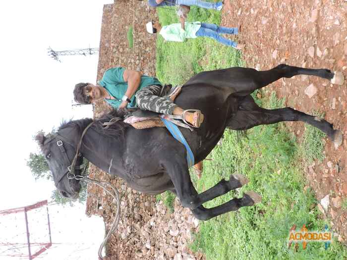 Lovish  Chauhan photo №21827. Uploaded 23 September 2015