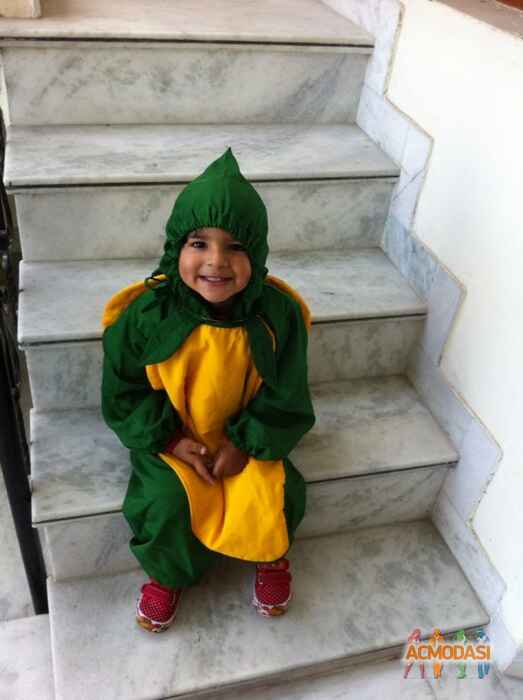 Anmol   photo №4923. Uploaded 08 June 2015