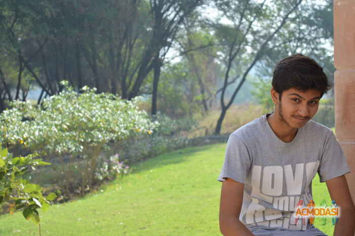 Darshit Lalitkumar Gohil photo №99830. Uploaded 04 April 2017