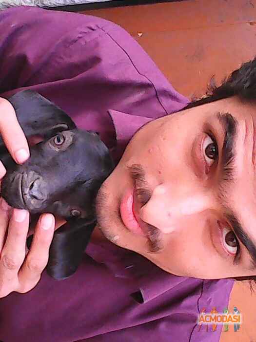 Abdul  Rab photo №34642. Uploaded 16 December 2015